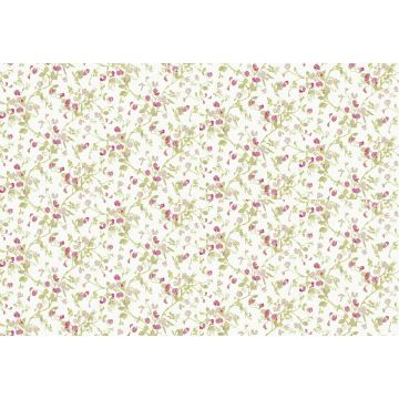 Cole & Son - Collection of Flowers - Sweet Pea 81/11048