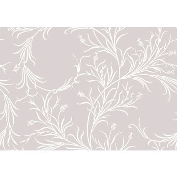Cole & Son - Collection of Flowers - Cornelia 81/12050