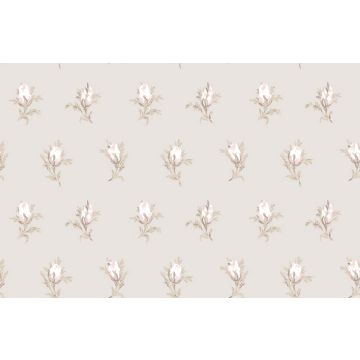 Cole & Son - Collection of Flowers - Rose Buds 81/4015