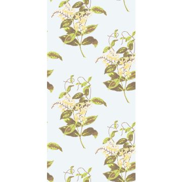Cole & Son - Collection of Flowers - Madras Violet 81/6023