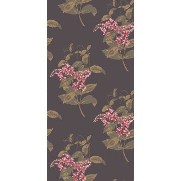 Cole & Son - Collection of Flowers - Madras Violet 81/6024