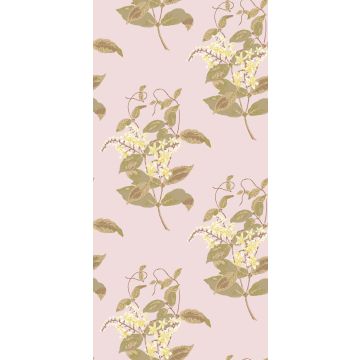 Cole & Son - Collection of Flowers - Madras Violet 81/6025