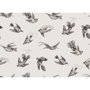 Cole & Son - Frontier - Tropical Birds 89/1001