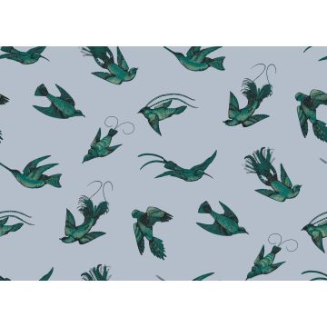 Cole & Son - Frontier - Tropical Birds 89/1003