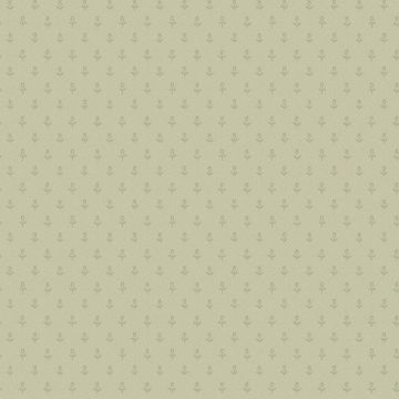 Cole & Son - Banbury - Sprig and Spot 91/4015