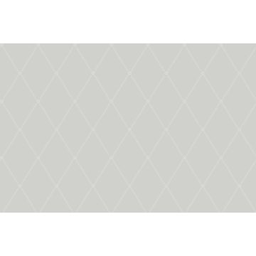 Cole & Son - Banbury - Button Trellis 91/9036