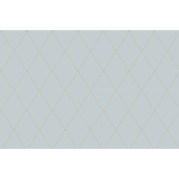 Cole & Son - Banbury - Button Trellis 91/9039