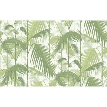 Cole & Son - Contemporary Restyled - Palm Jungle 95/1001