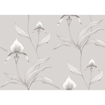 Cole & Son - Contemporary Restyled - Orchid 95/10055