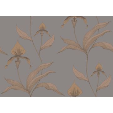 Cole & Son - Contemporary Restyled - Orchid 95/10056