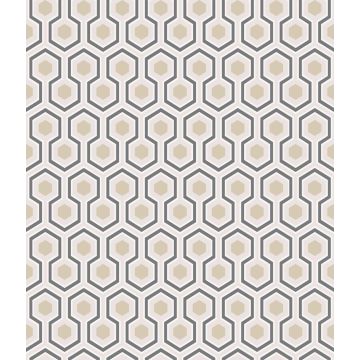 Cole & Son - Contemporary Restyled - Hicks Hexagon 95/3016