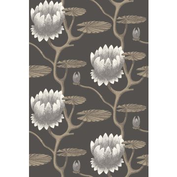 Cole & Son - Contemporary Restyled - Summer Lily 95/4026