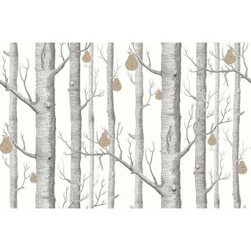 Cole & Son - Contemporary Restyled - Woods & Pears 95/5027