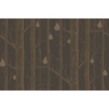 Cole & Son - Contemporary Restyled - Woods & Pears 95/5028