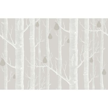 Cole & Son - Contemporary Restyled - Woods & Pears 95/5029