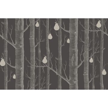 Cole & Son - Contemporary Restyled - Woods & Pears 95/5031
