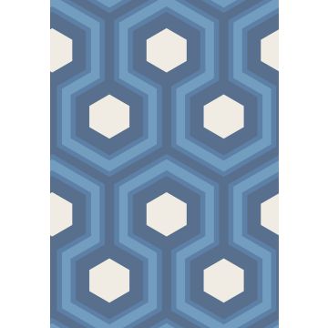 Cole & Son - Contemporary Restyled - Hicks Grand 95/6035