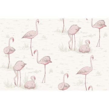 Cole & Son - Contemporary Restyled - Flamingos 95/8045