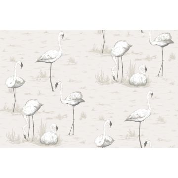 Cole & Son - Contemporary Restyled - Flamingos 95/8046