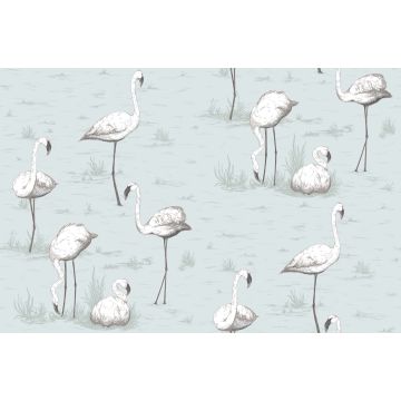 Cole & Son - Contemporary Restyled - Flamingos 95/8047