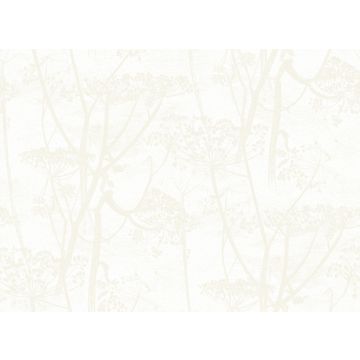 Cole & Son - Contemporary Restyled - Cow Parsley 95/9052