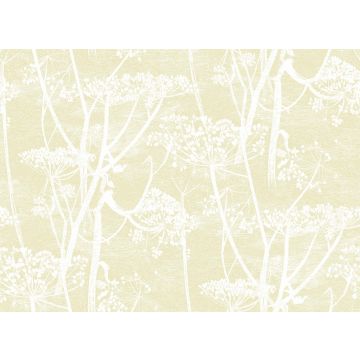 Cole & Son - Contemporary Restyled - Cow Parsley 95/9053