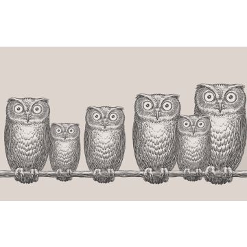 Cole & Son - Fornasetti II - Nottambule 97/5015