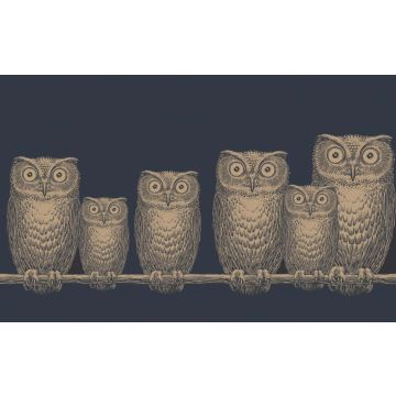 Cole & Son - Fornasetti II - Nottambule 97/5050