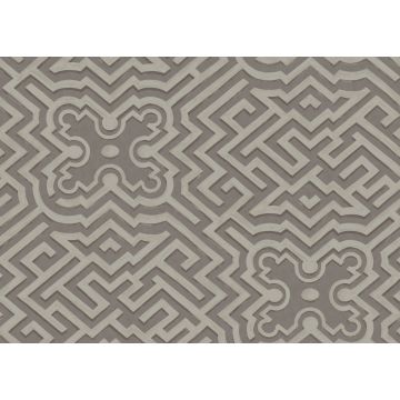 Cole & Son - Historic Royal Palaces - Palace Maze 98/14056