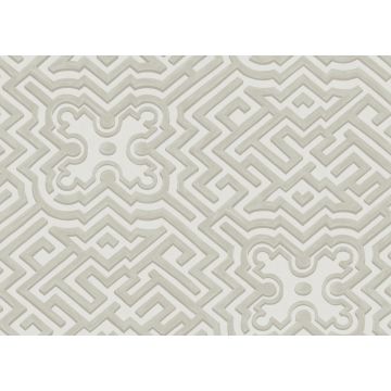 Cole & Son - Historic Royal Palaces - Palace Maze 98/14058