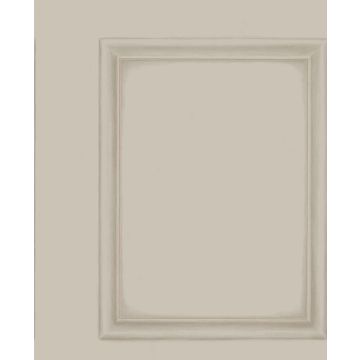 Cole & Son - Historic Royal Palaces - Library Panel 98/7027