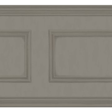 Cole & Son - Historic Royal Palaces - Library Frieze 98/8037