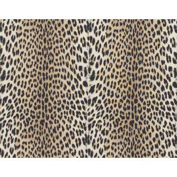 Boussac - Panthere - O5989011 Brun