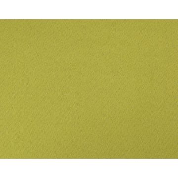 Boussac - Vision - O7704018 Vert Absinthe