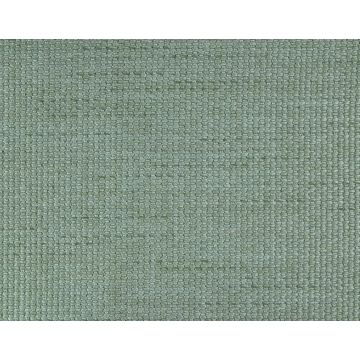 Boussac - Bahia - O7722023 Eucalyptus