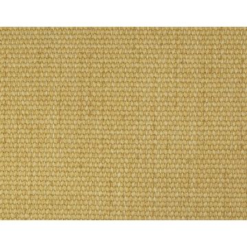 Boussac - Bahia - O7722024 Miel