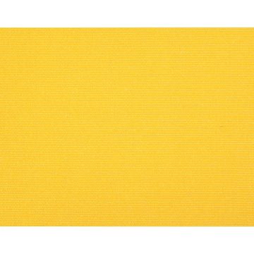 Boussac - Playa - O7730016 Jonquille