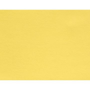 Boussac - Joe - O7764016 Citron