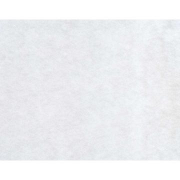 Boussac - Champagne - O7841001 Blanc