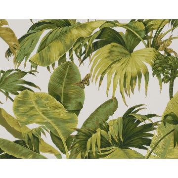 Boussac - Bananier - W4630A03 Olive