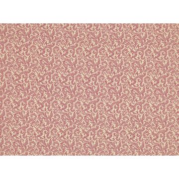 Braquenie - Le grand corail vermicule assorti - B081C001 Rouge Fond Crème