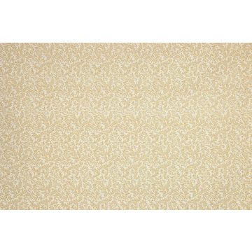 Braquenie - Le grand corail vermicule assorti - B081C004 Bistre Fond Blanc