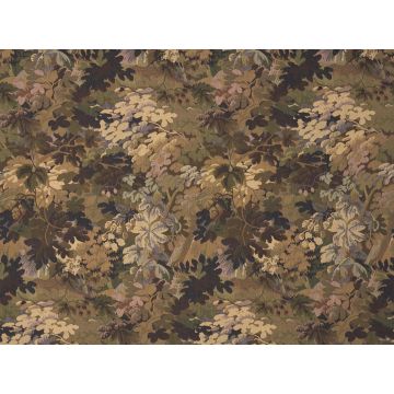 Braquenie - Tibere - B7647001 Automnal