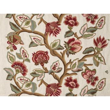 Braquenie - Ashoka - B7657001 Vegetal