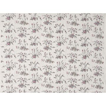 Braquenie - Au jardin - B7658001 Celeste