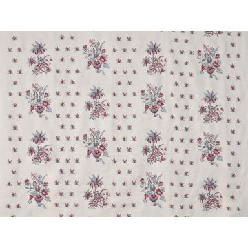 Braquenie - Coulonges - B7659001 Hortensia