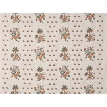 Braquenie - Coulonges - B7659002 Mandarine