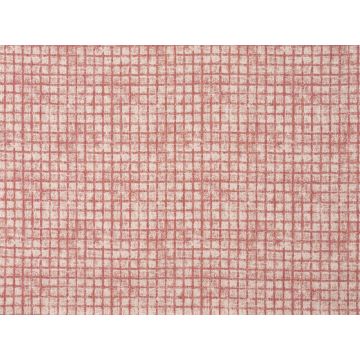 Braquenie - Neville - B7664002 Capucine