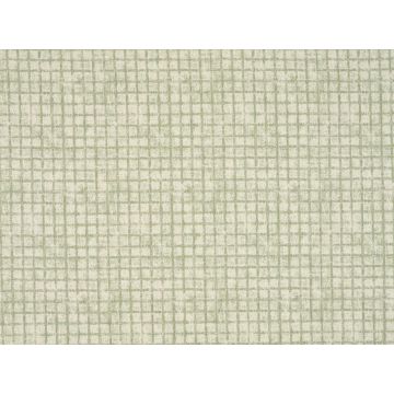 Braquenie - Neville - B7664004 Amande