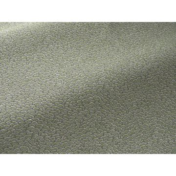 Braquenie - Cerilly - B7673002 Jardinet